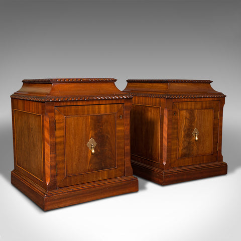 Pair Of Antique Nightstands, English, Bedside, Fireside Cabinet, William IV