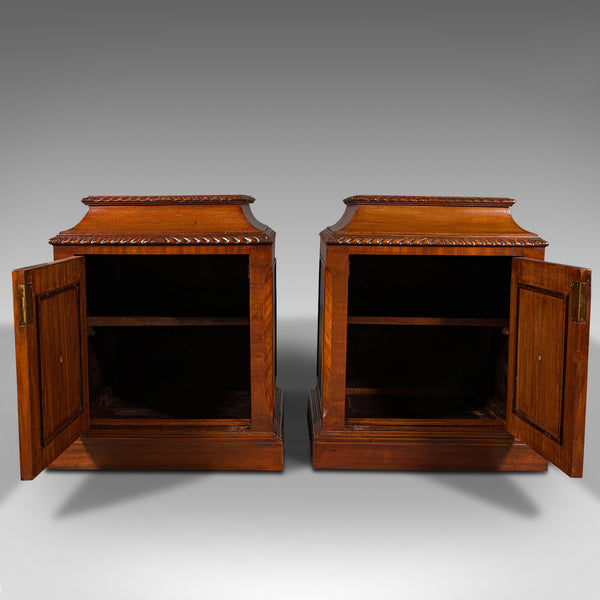 Pair Of Antique Nightstands, English, Bedside, Fireside Cabinet, William IV