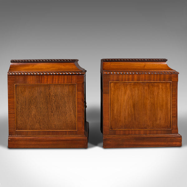 Pair Of Antique Nightstands, English, Bedside, Fireside Cabinet, William IV