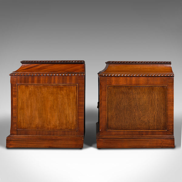 Pair Of Antique Nightstands, English, Bedside, Fireside Cabinet, William IV