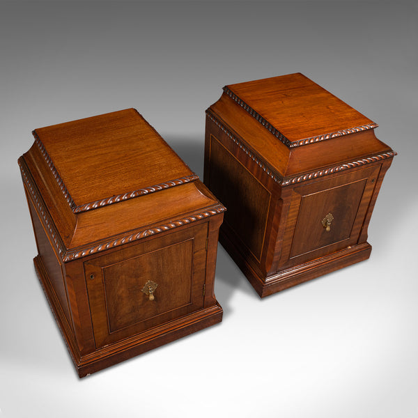 Pair Of Antique Nightstands, English, Bedside, Fireside Cabinet, William IV