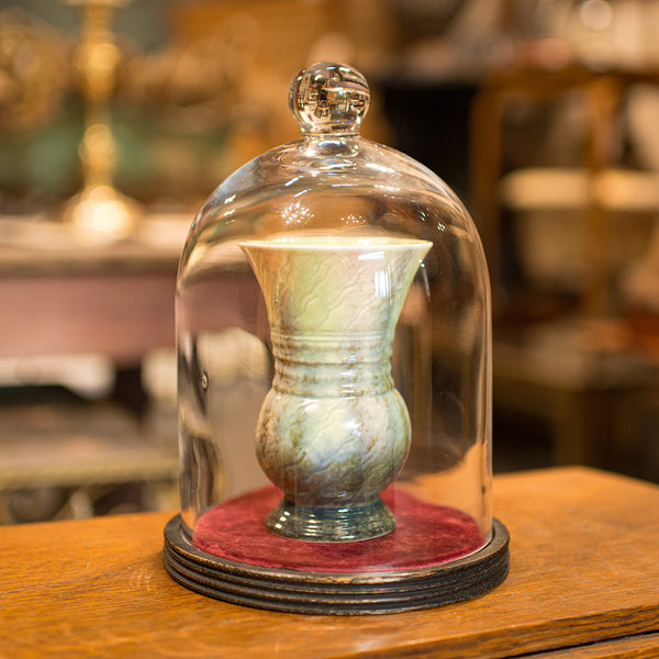 Antique Display Dome, English, Glass, Showcase, Taxidermy Case, Edwardian, 1910