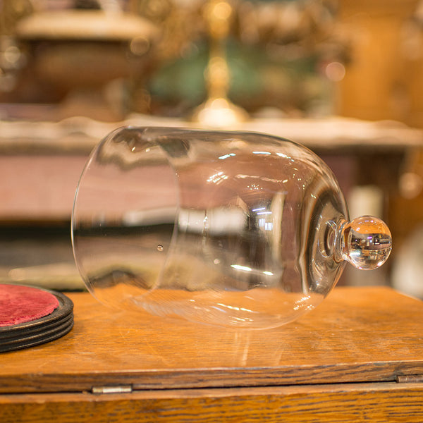 Antique Display Dome, English, Glass, Showcase, Taxidermy Case, Edwardian, 1910