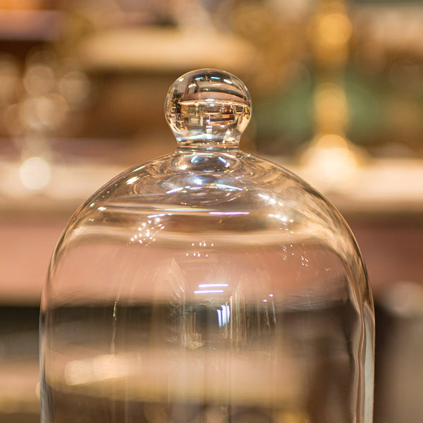 Antique Display Dome, English, Glass, Showcase, Taxidermy Case, Edwardian, 1910