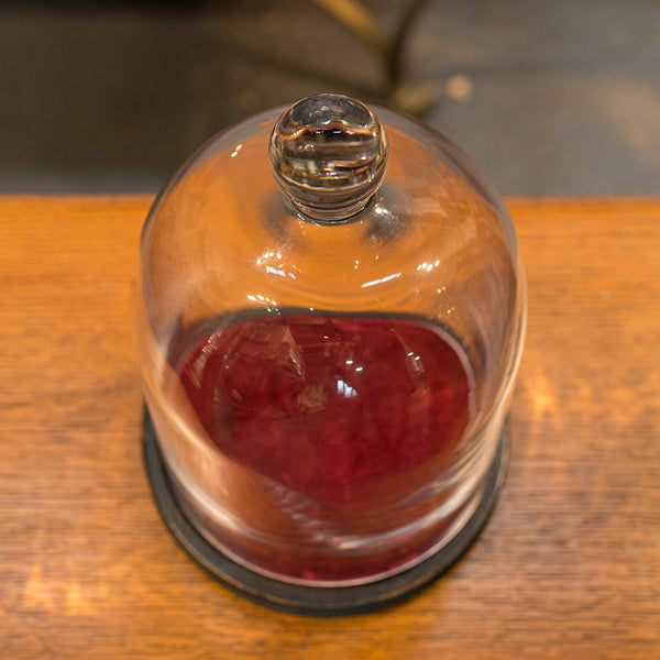 Antique Display Dome, English, Glass, Showcase, Taxidermy Case, Edwardian, 1910